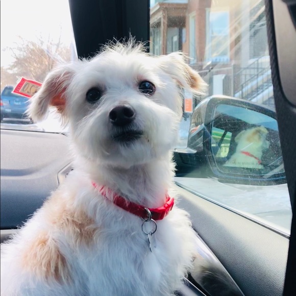 Thank you for stopping by! - Picture 2 of 4